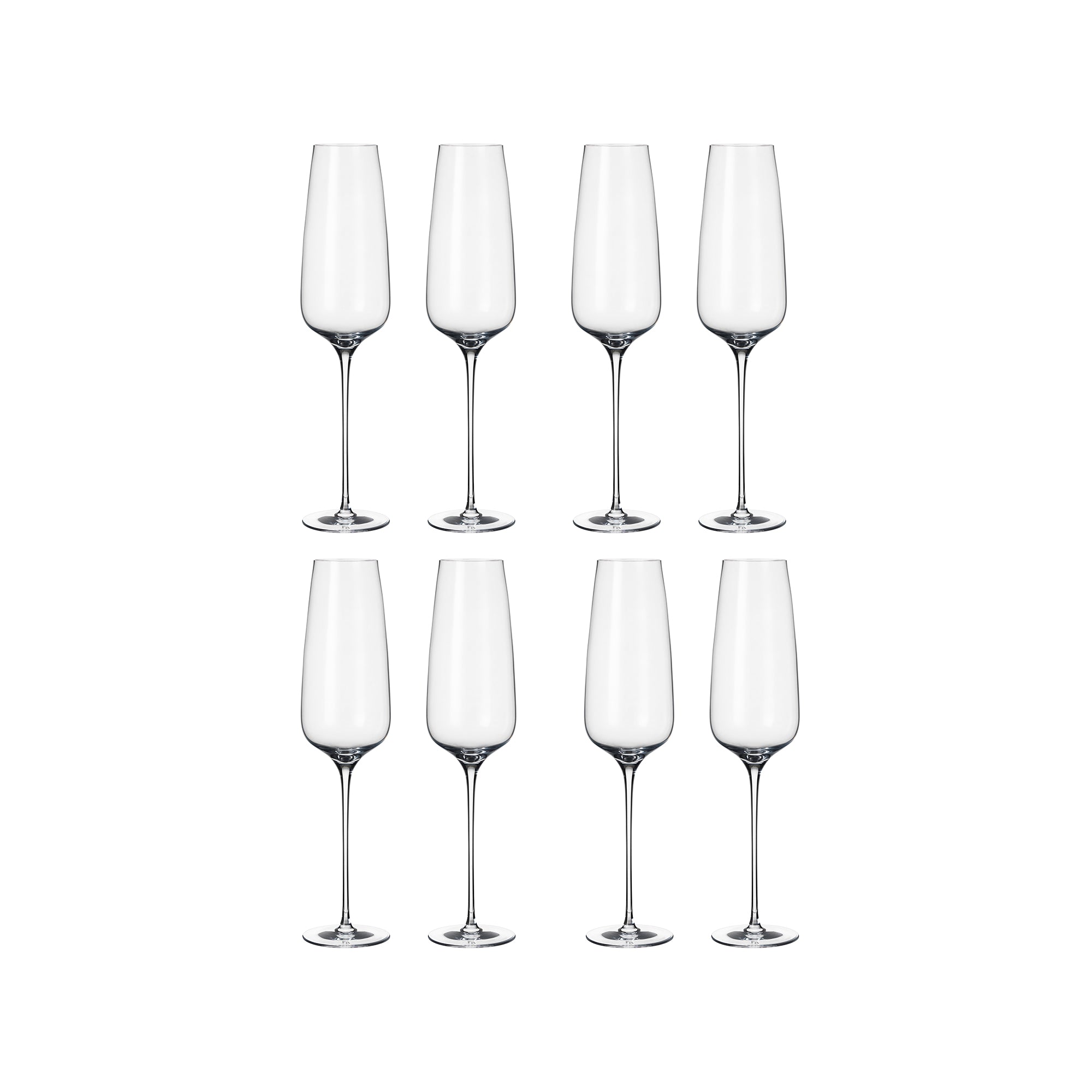 Adda Champagne - Set of 8